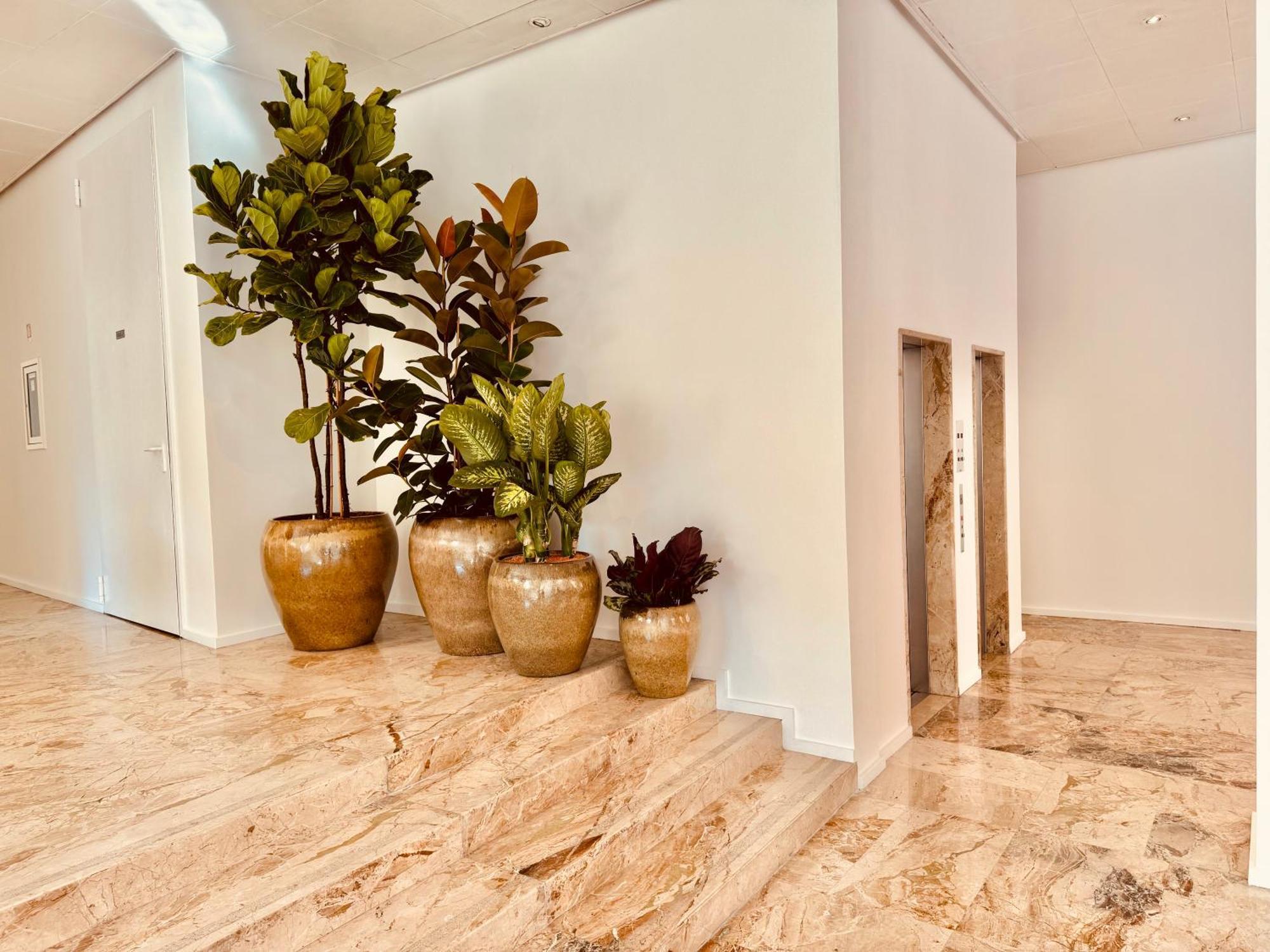 Hotel Pex Mantova Ngoại thất bức ảnh